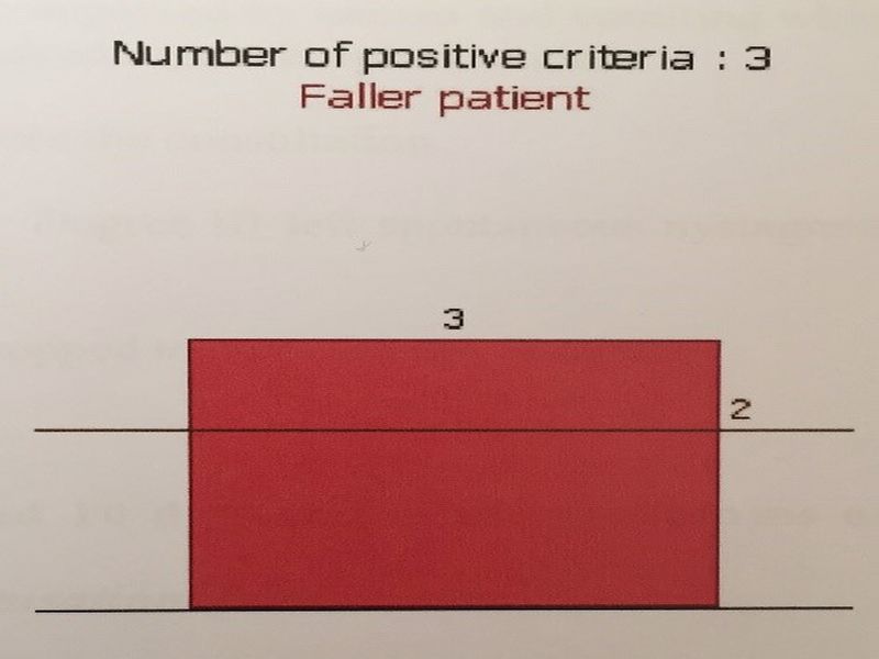 Risk-of-Fall-testi