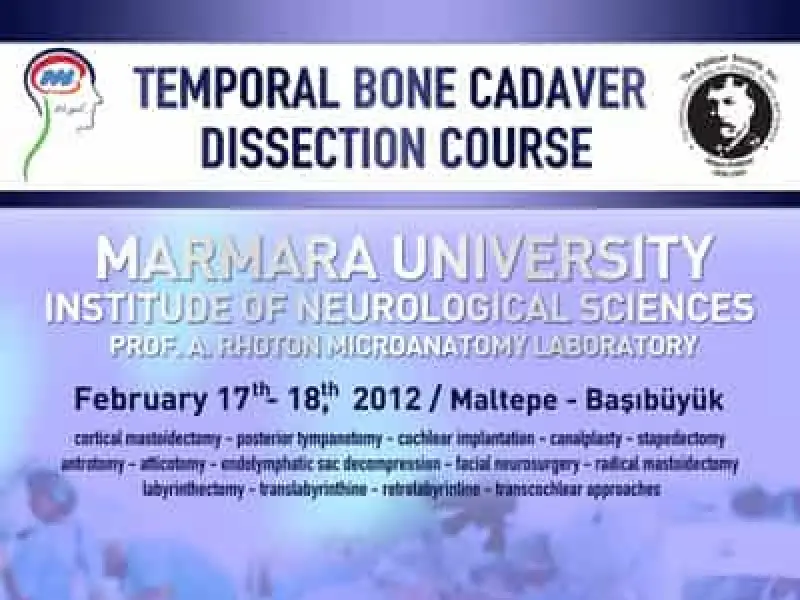temporal-bone-cadaver-dissection-course